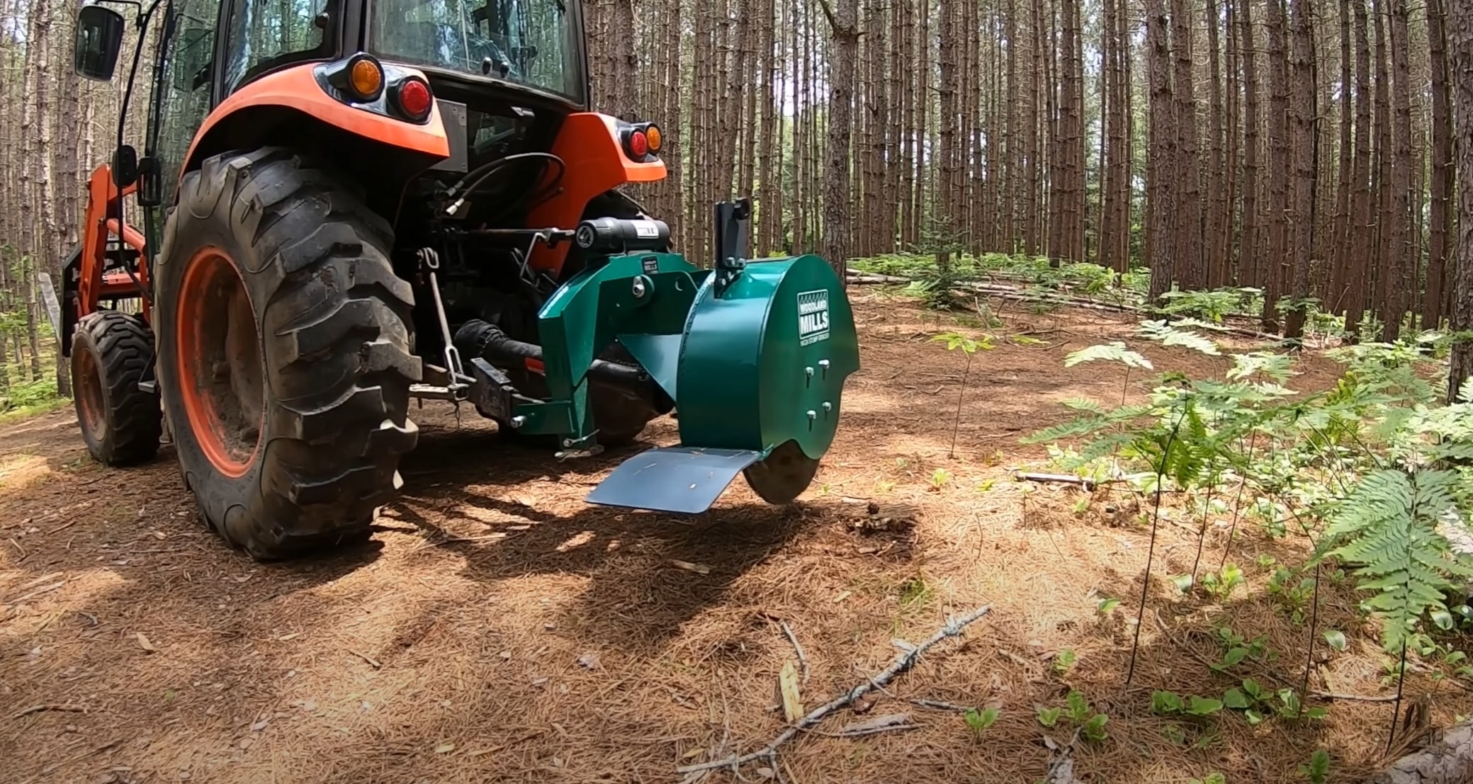 Professional stump grinding equipment removing tree stumps in Queen Creek